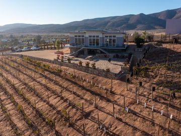 6000 m2 VIÑEDOS CON CASAS EN VALLE DE GUADALUPE