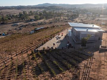 6000 m2 VIÑEDOS CON CASAS EN VALLE DE GUADALUPE