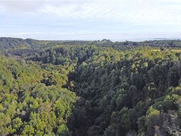 Sin comisión. Parcelas de 5.000 y 10.000m, vegetación nativa