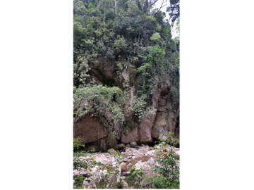 Terreno con rio Ahuashiyacu y abundate vegetacion