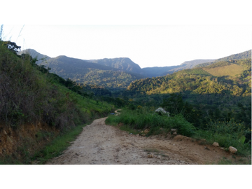 Terreno con rio Ahuashiyacu y abundate vegetacion