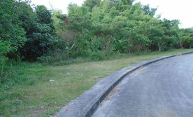 168 Sqm Lot for Sale in Greenwoods Subdivision near Talamban Cebu City