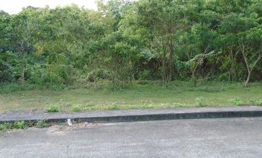 168 Sqm Lot for Sale in Greenwoods Subdivision near Talamban Cebu City