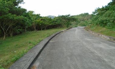 168 Sqm Lot for Sale in Greenwoods Subdivision near Talamban Cebu City