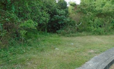 168 Sqm Lot for Sale in Greenwoods Subdivision near Talamban Cebu City