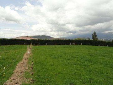 Hacienda de venta en Cayambe 43 hectáreas