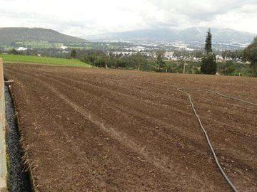 Hacienda de venta en Cayambe 43 hectáreas
