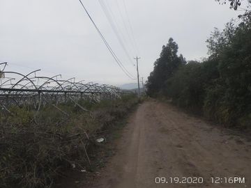 EN VENTA PROPIEDAD de 31 HAS EN PLENA VIA PRINCIPAL EN TABACUNDO