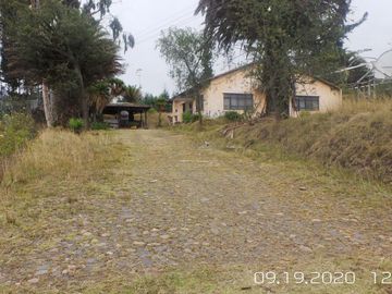 EN VENTA PROPIEDAD de 31 HAS EN PLENA VIA PRINCIPAL EN TABACUNDO
