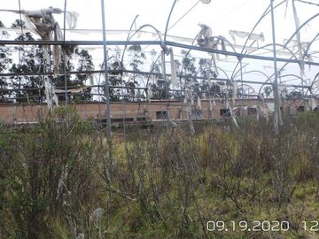 EN VENTA PROPIEDAD de 31 HAS EN PLENA VIA PRINCIPAL EN TABACUNDO