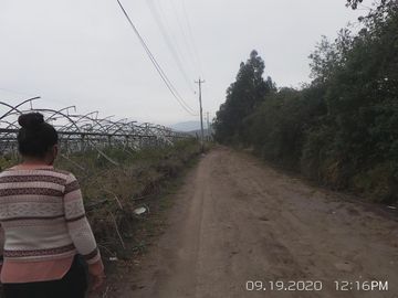 EN VENTA PROPIEDAD de 31 HAS EN PLENA VIA PRINCIPAL EN TABACUNDO