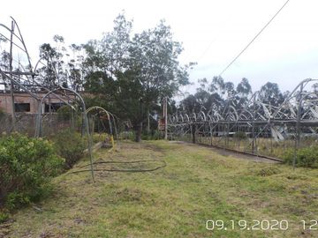 EN VENTA PROPIEDAD de 31 HAS EN PLENA VIA PRINCIPAL EN TABACUNDO