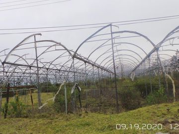 EN VENTA PROPIEDAD de 31 HAS EN PLENA VIA PRINCIPAL EN TABACUNDO