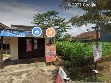 Tanah Poros pakis JaJaR Malang