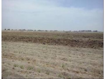 TERRENO en VENTA en SAN VICENTE DE CAÑETE - ZONA DE SAN CLEMENTE