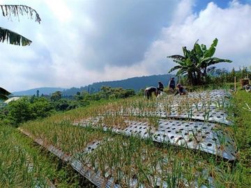 Tanah Idaman Kemuning Ngargoyoso Karanganyar