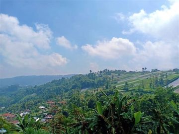 Tanah Idaman Kemuning Ngargoyoso Karanganyar