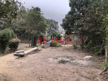Ubicado en el distrito de Ricardo Palma (altura del km 42 de la Carretera Central)

Este hermoso terreno de 2,590 m² ofrece un clima primaveral con