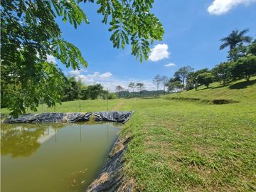 Venta Finca Sur Tebaida Quindio COD: 7015237