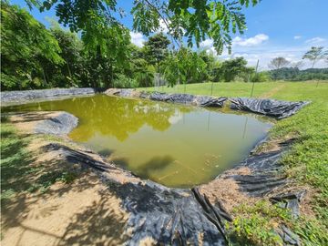 Venta Finca Sur Tebaida Quindio COD: 7015237