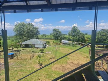 Venta Finca Sur Tebaida Quindio COD: 7015237