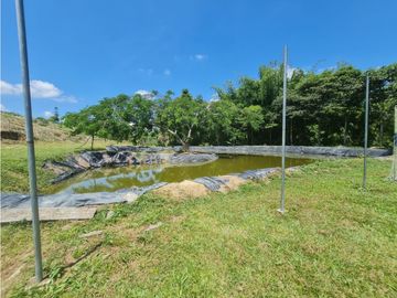 Venta Finca Sur Tebaida Quindio COD: 7015237
