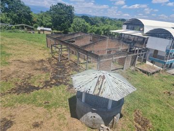 Venta Finca Sur Tebaida Quindio COD: 7015237
