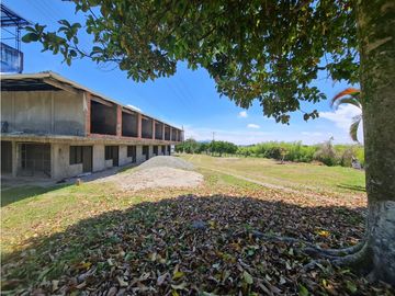 Venta Finca Sur Tebaida Quindio COD: 7015237