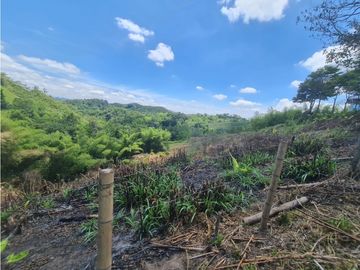 Venta Finca Sur Tebaida Quindio COD: 7015237