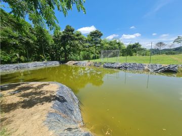 Venta Finca Sur Tebaida Quindio COD: 7015237