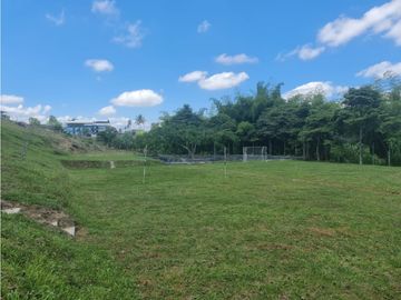 Venta Finca Sur Tebaida Quindio COD: 7015237