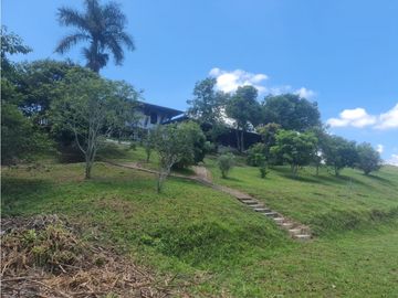 Venta Finca Sur Tebaida Quindio COD: 7015237