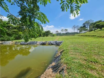 Venta Finca Sur Tebaida Quindio COD: 7015237