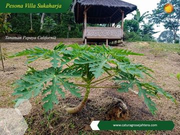 Tanah minimal 500 meter Harga 350rb Per Meter di Bogor