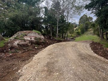 Parcelas con vista y acceso al Lago Ranco
