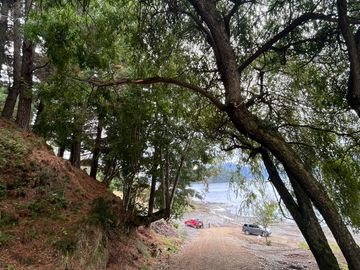 Parcelas con vista y acceso al Lago Ranco