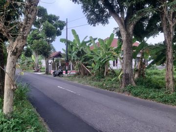 Tanah Pekarangan Mangku Jalan Aspal di Jakal km 10