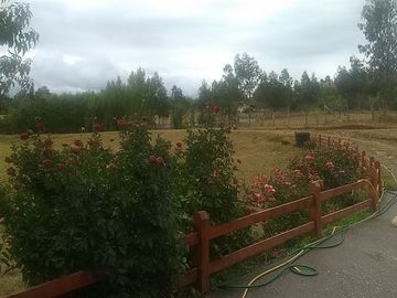 Casa en Venta en Chancoyán