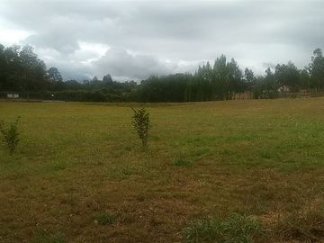Casa en Venta en Chancoyán