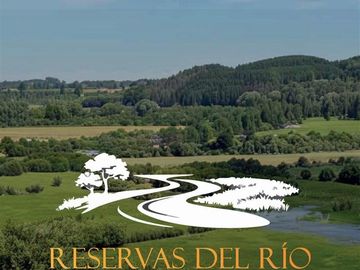 Parcela en venta cerca del aeropuerto, Puerto Varas y más