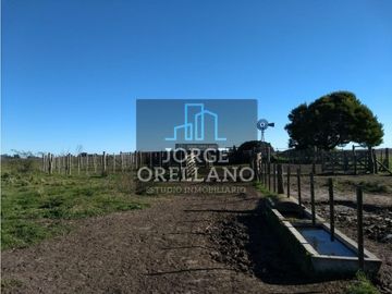 VENTA DE CAMPO EN CORONEL VIDAL 176 HAS PRODUCCION AGRICOLA Y GANADERA