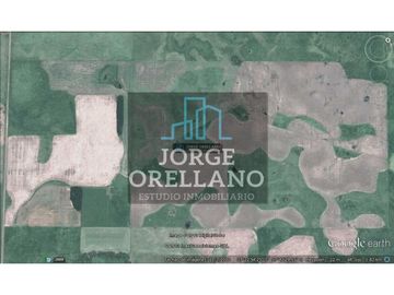 VENTA DE CAMPO EN CORONEL VIDAL 176 HAS PRODUCCION AGRICOLA Y GANADERA