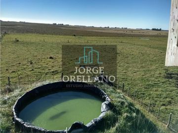 VENTA DE CAMPO EN CORONEL VIDAL 176 HAS PRODUCCION AGRICOLA Y GANADERA