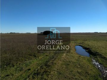 VENTA DE CAMPO EN CORONEL VIDAL 176 HAS PRODUCCION AGRICOLA Y GANADERA