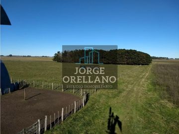 VENTA DE CAMPO EN CORONEL VIDAL 176 HAS PRODUCCION AGRICOLA Y GANADERA