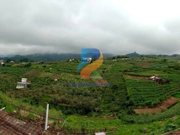 DREAMPROPERTI | Tanah kebun jalan raya tulungrejo batu