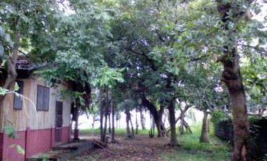 Beach Lot for Sale in San Fernando, La