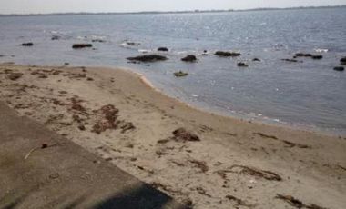 Beach Lot for Sale in San Fernando, La