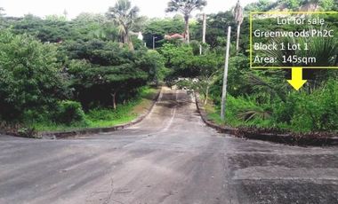 Affordable Elevated 145 Sqm Lot for Sale near Talamban Cebu City with Great Mountain Views