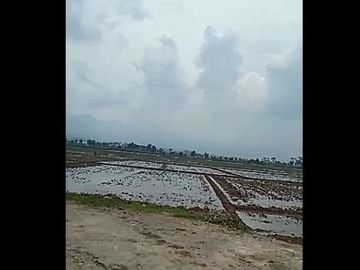 Jual Tanah Perumahan Murah 100 Ha Di Paseh Kota Bandung